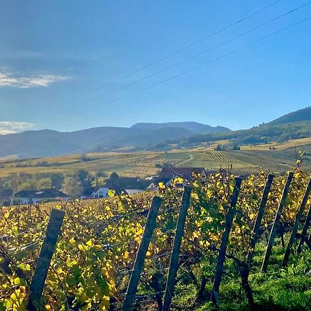 Le Grasberg Apartman Bergheim Kültér fotó